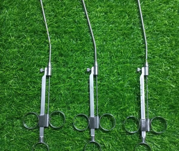 Tonsile Snaire