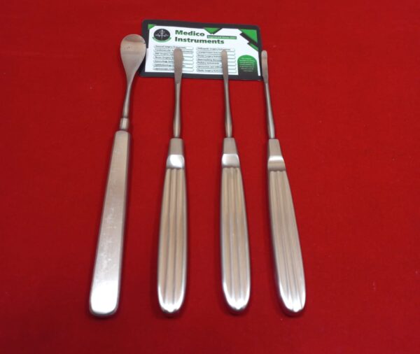 Daniel Gubisch Raspatory Set